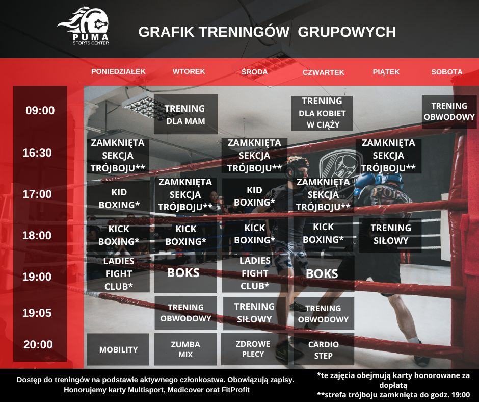 Grafik Grupowy pumafit